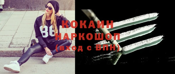 хмурый Верея