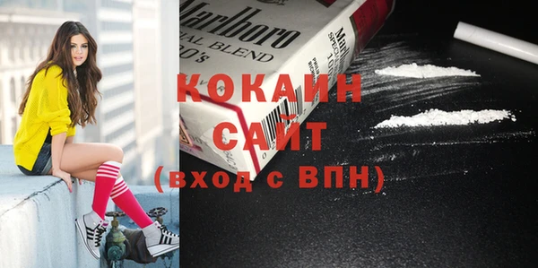 хмурый Верея