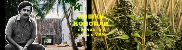 хмурый Верея