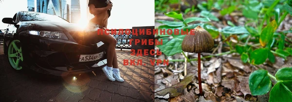 хмурый Верея