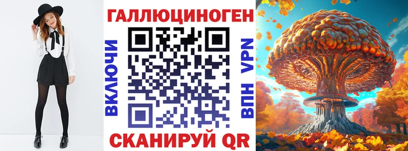 Галлюциногенные грибы Psilocybine cubensis  Лысьва 